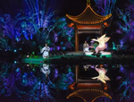 水中仙子，花開韓城丨2017全國首屆睡蓮文化節(jié)開幕式驚艷韓城！