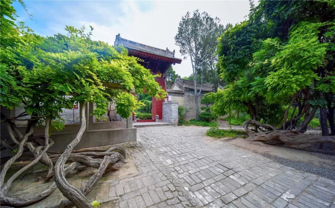 清明寄哀思，紀念園也是一種風景