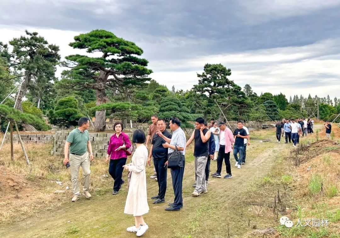 人文動態(tài)|陳勝洪董事長主持杭州市苗木商會會議，帶領(lǐng)全體會員考察2個精品苗圃